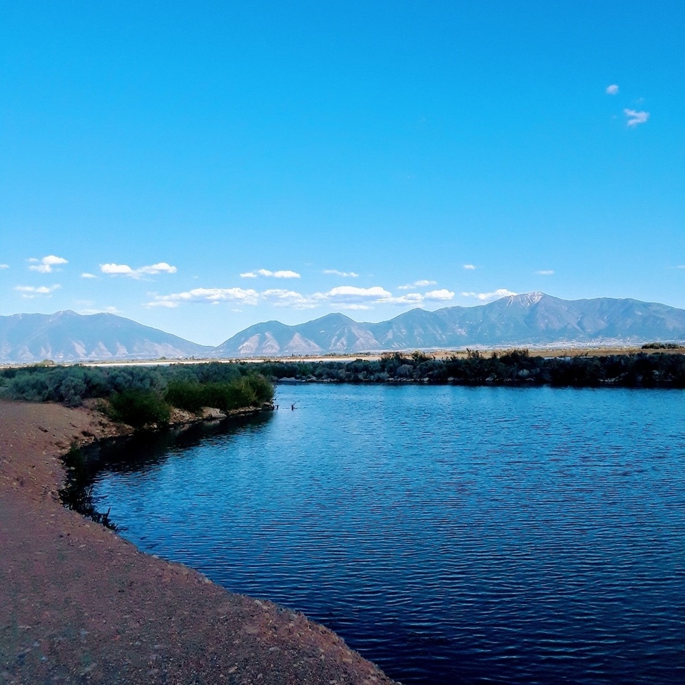 Meet your Posher, Ellee